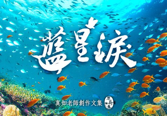 蓝星泪